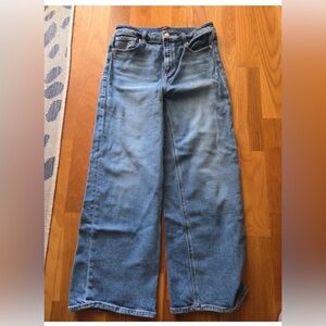 Quince Bella Straight Wide Leg Jeans 30